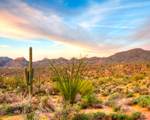 Mietwagenrundreise "Durch den Südwesten der USA" Hintergrundbild