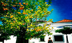 Mietwagenrundreise "Entlang der Algarve bis Sevilla" Hintergrundbild Mietwagenrundreise "Entlang der Algarve bis Sevilla" Hintergrundbild