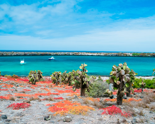 Vulkane, Galapagos, Indios und die Karibik Hintergrundbild