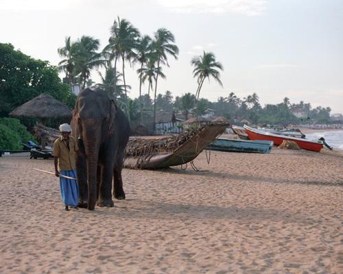 All-Inklusive Badeurlaub auf Sri Lanka Hintergrundbild
