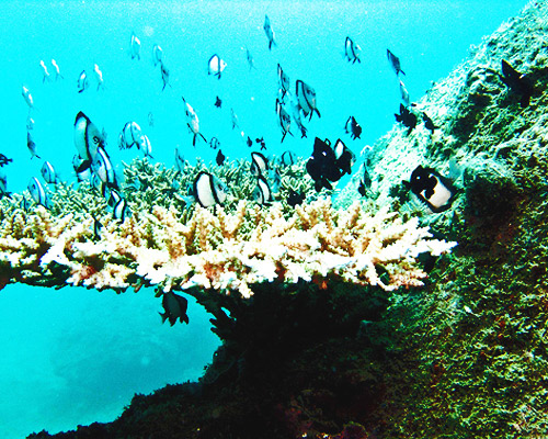 Baden in Vietnam: Nha Trang Hintergrundbild Baden in Vietnam: Nha Trang Hintergrundbild