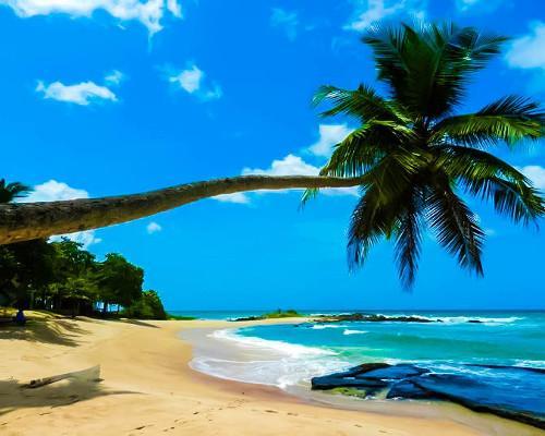 Gewürzinsel Sri Lanka mit Colombo & Baden in Kalutara Hintergrundbild Gewürzinsel Sri Lanka mit Colombo & Baden in Kalutara Hintergrundbild