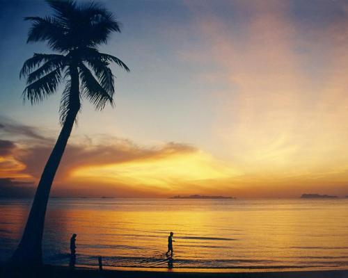 Globales Singapur & Kokospalmen auf Koh Samui Hintergrundbild