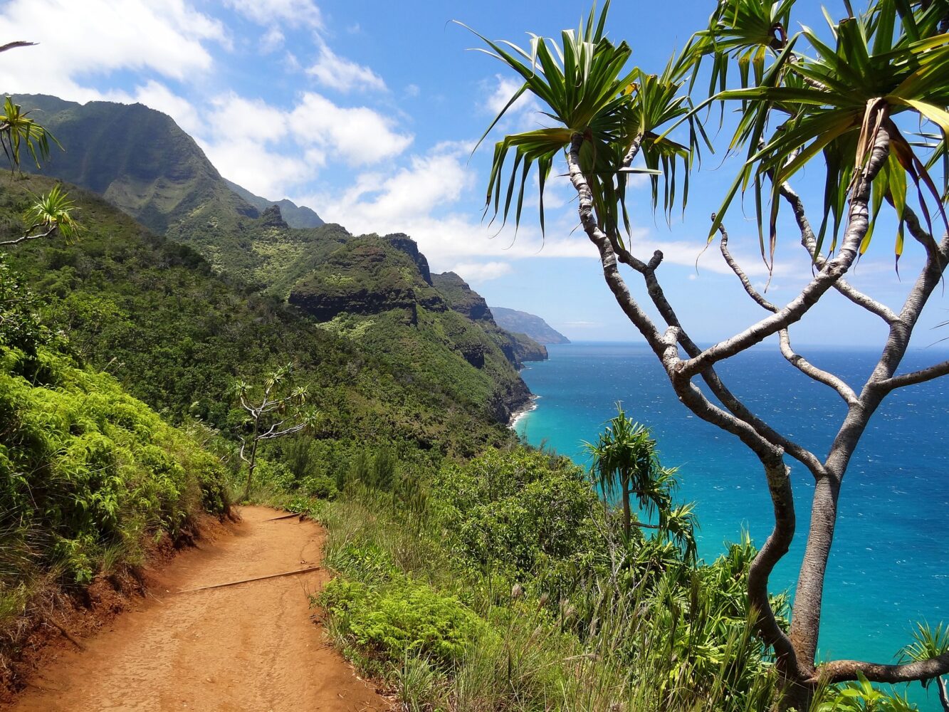 Dallas & Erholung auf Hawaii Hintergrundbild