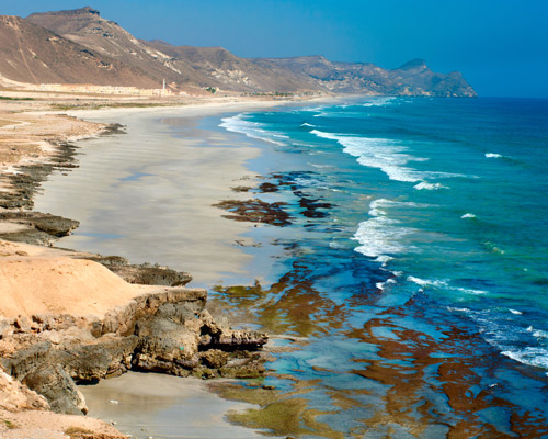 Oman erleben - Maskat & All-inclusive-Badeurlaub in Salalah Hintergrundbild