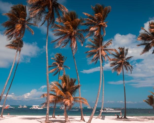 Weiße Sandstrände in Punta Cana inklusive Halbtagesausflug Hintergrundbild Weiße Sandstrände in Punta Cana inklusive Halbtagesausflug Hintergrundbild
