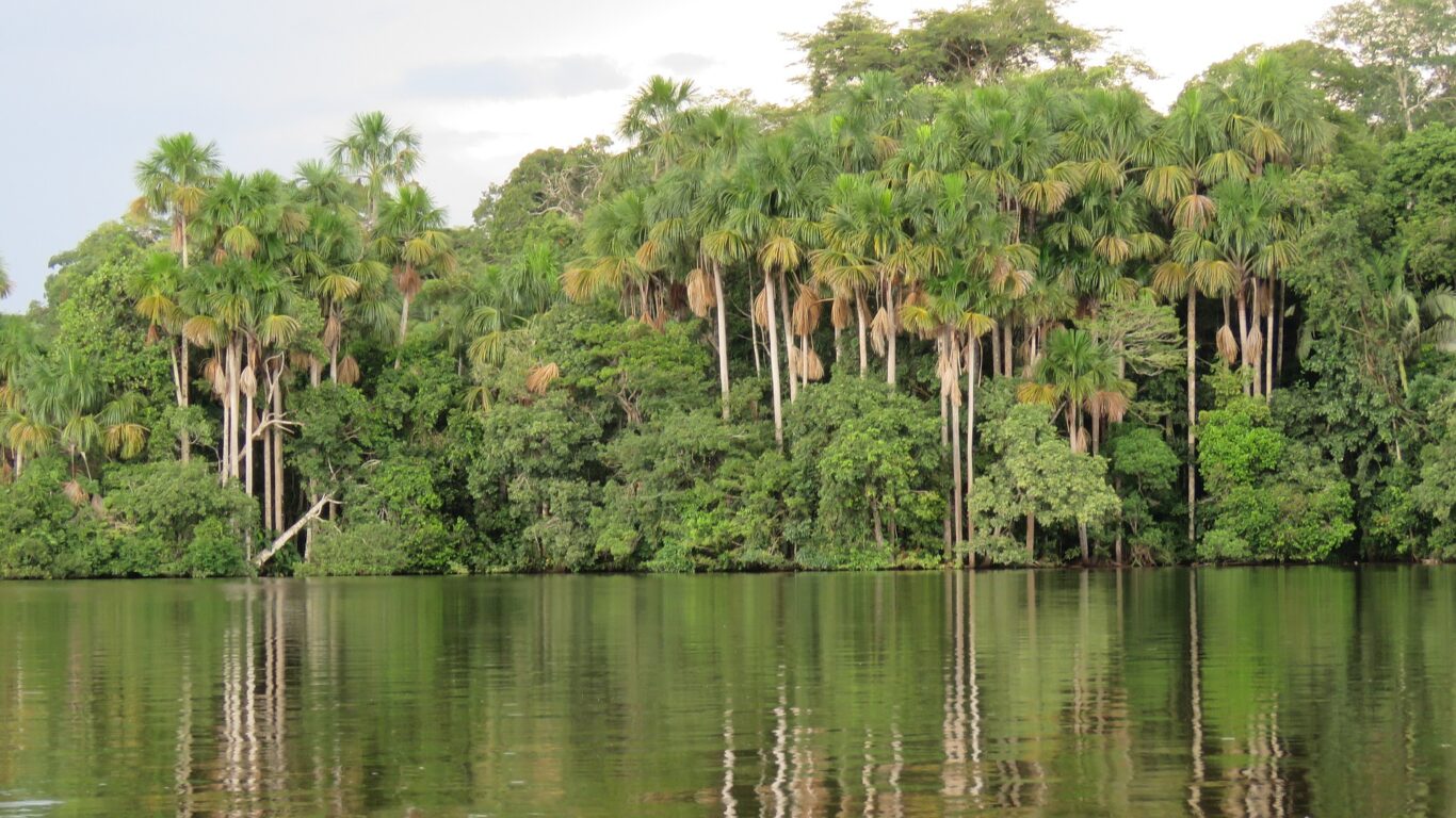 Iquitos Dschungel Lodge Paket Hintergrundbild