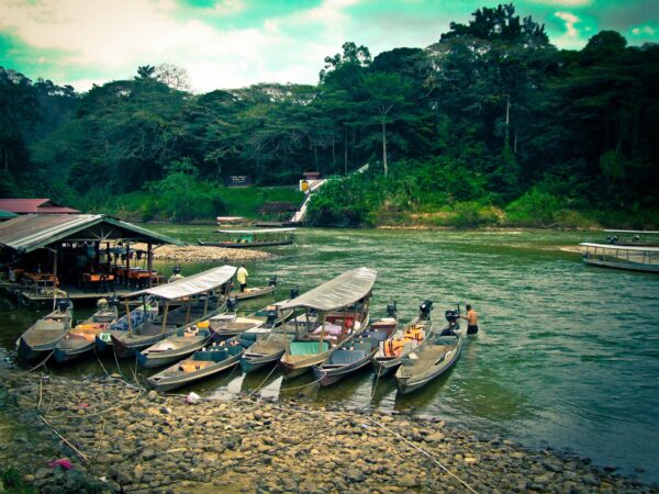 Kurztour "Taman Negara & Cameron Highlands"