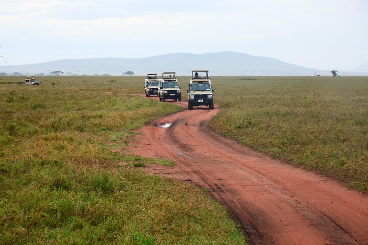 Große Tansania Reise! Kilimandscharo, Safari & Sansibar Hintergrundbild