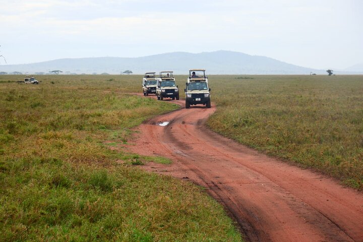 Große Tansania Reise! Kilimandscharo, Safari & Sansibar Hintergrundbild Große Tansania Reise! Kilimandscharo, Safari & Sansibar Hintergrundbild