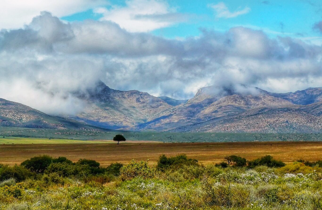 Rundreise "Klassisches Südafrika" mit Kruger Nationalpark Safari Hintergrundbild