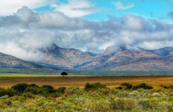 Rundreise "Klassisches Südafrika" mit Kruger Nationalpark Safari