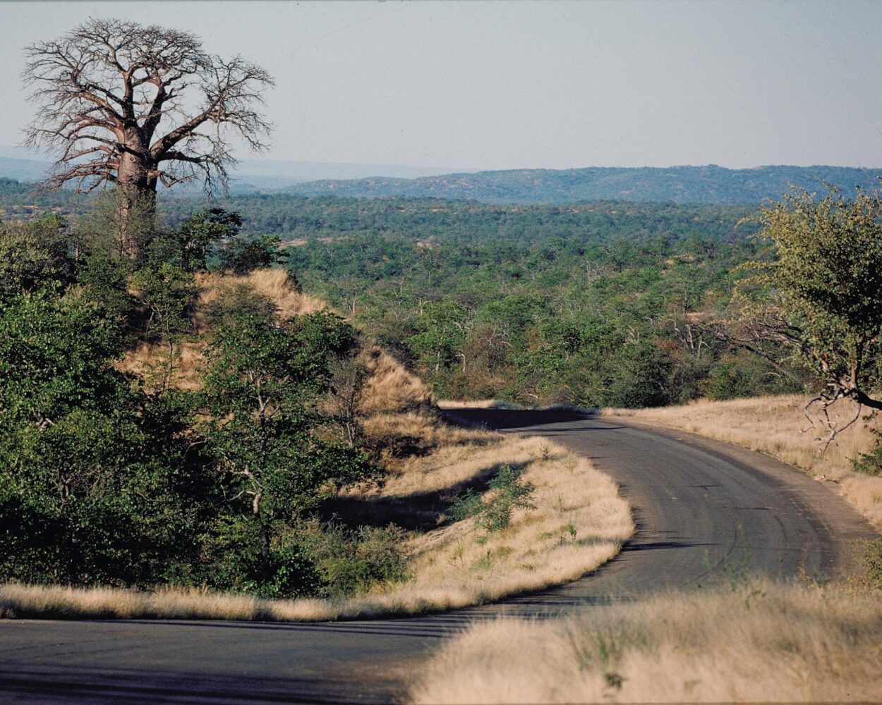 Selbstfahrer-Rundreise "Klassisches Südafrika" Hintergrundbild