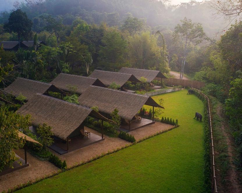 "Elephant Hills Jungle Camp" (2 Nächte) Hintergrundbild