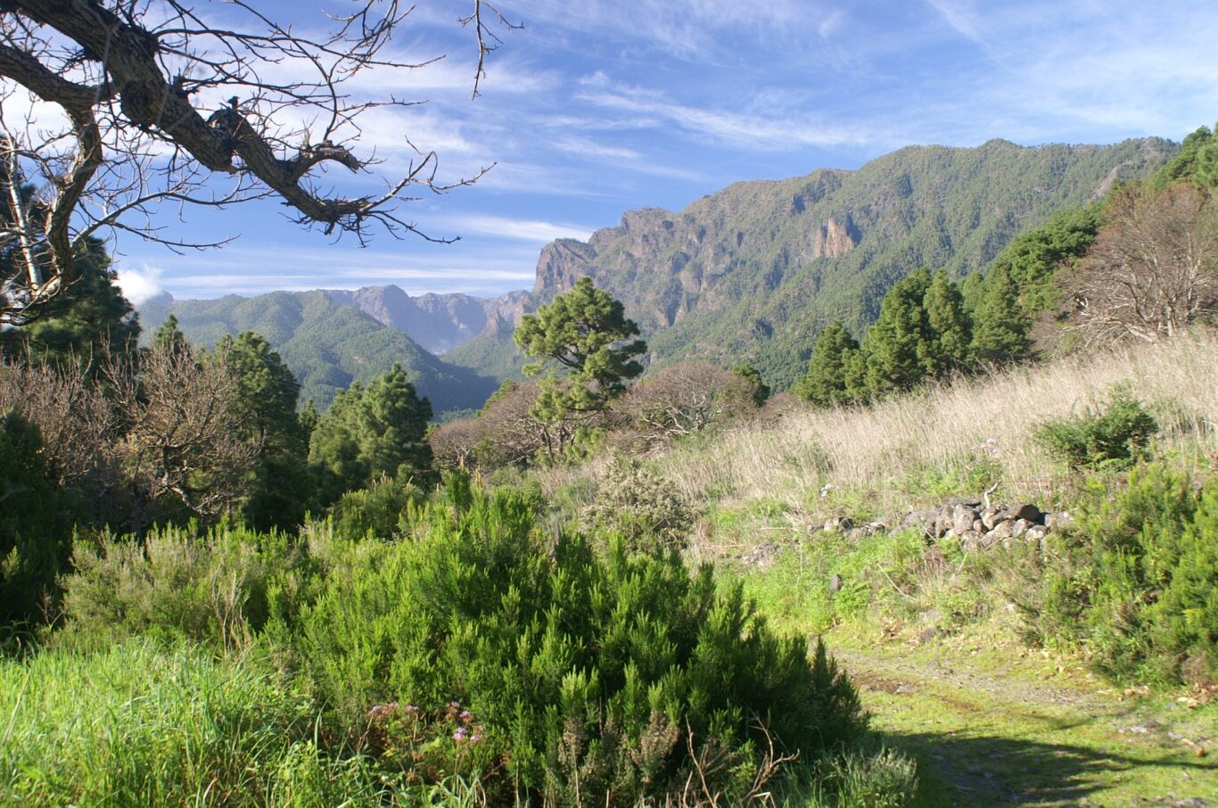 Inselhopping La Palma, La Gomera, El Hierro & Teneriffa Hintergrundbild Inselhopping La Palma, La Gomera, El Hierro & Teneriffa Hintergrundbild