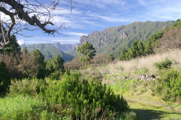 Inselhopping La Palma, La Gomera, El Hierro & Teneriffa