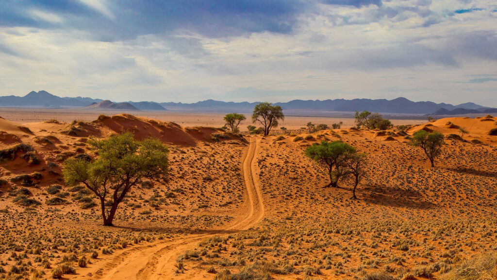 Namibia Landschaft, Safari