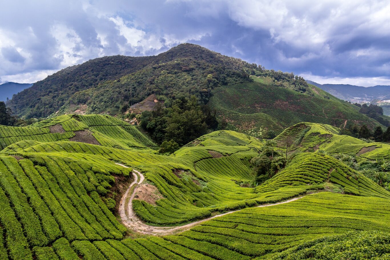 Privatrundreise "Westmalaysia Highlights" Hintergrundbild