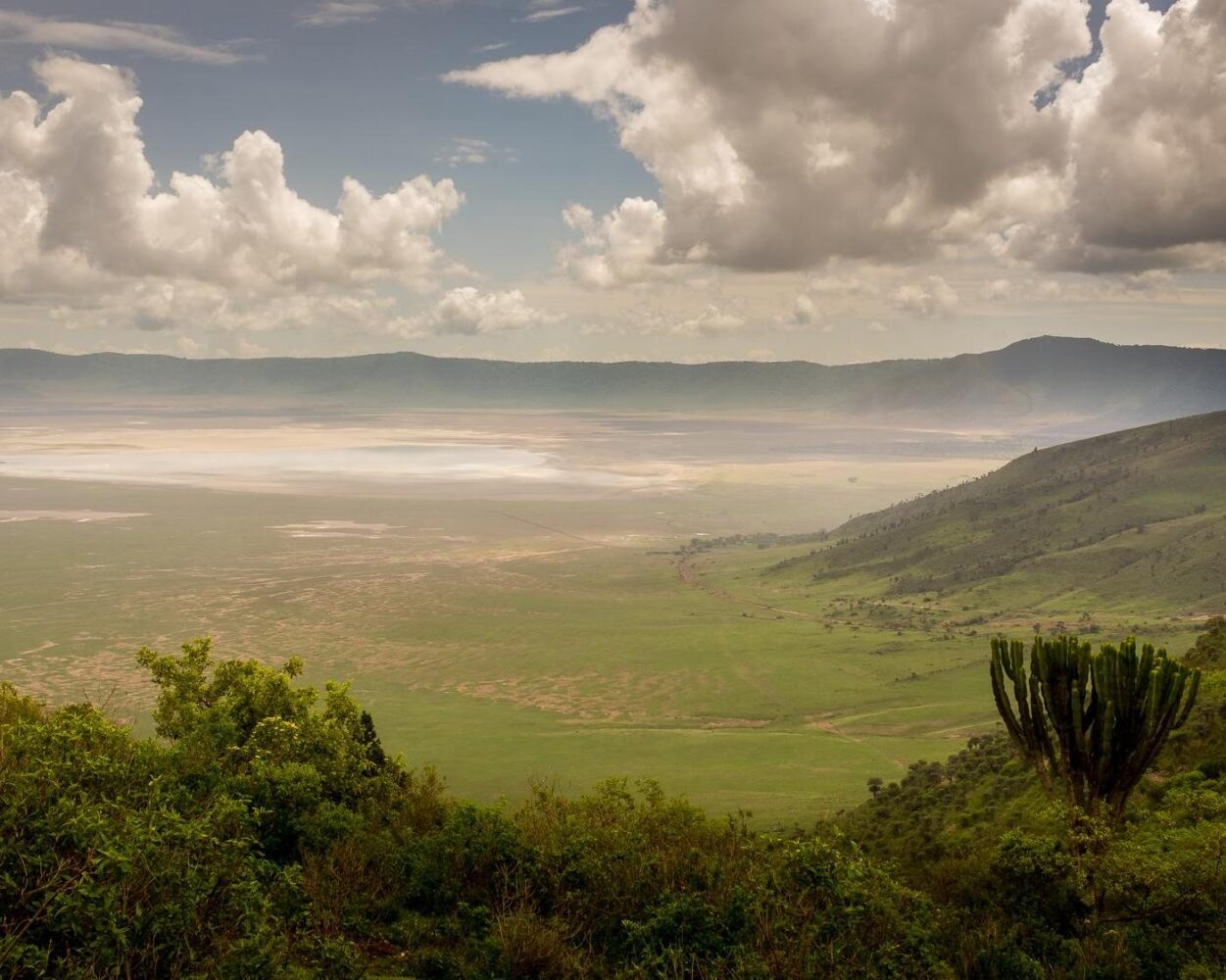 Safari "Höhepunkte Tansania" & Baden Sansibar Hintergrundbild