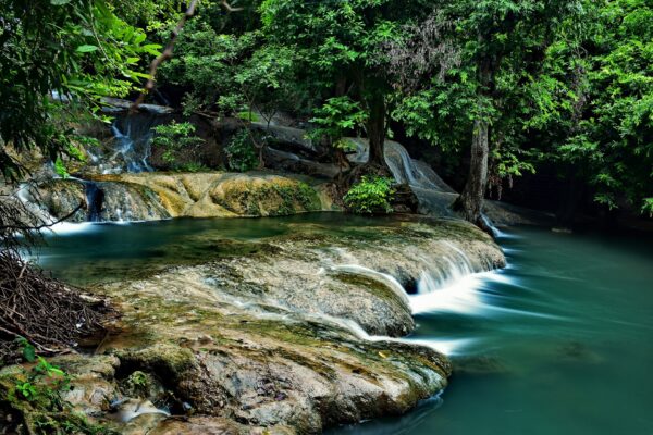 Dubai, Rundreise "3 Tage Taman Negara" & Baden Phuket