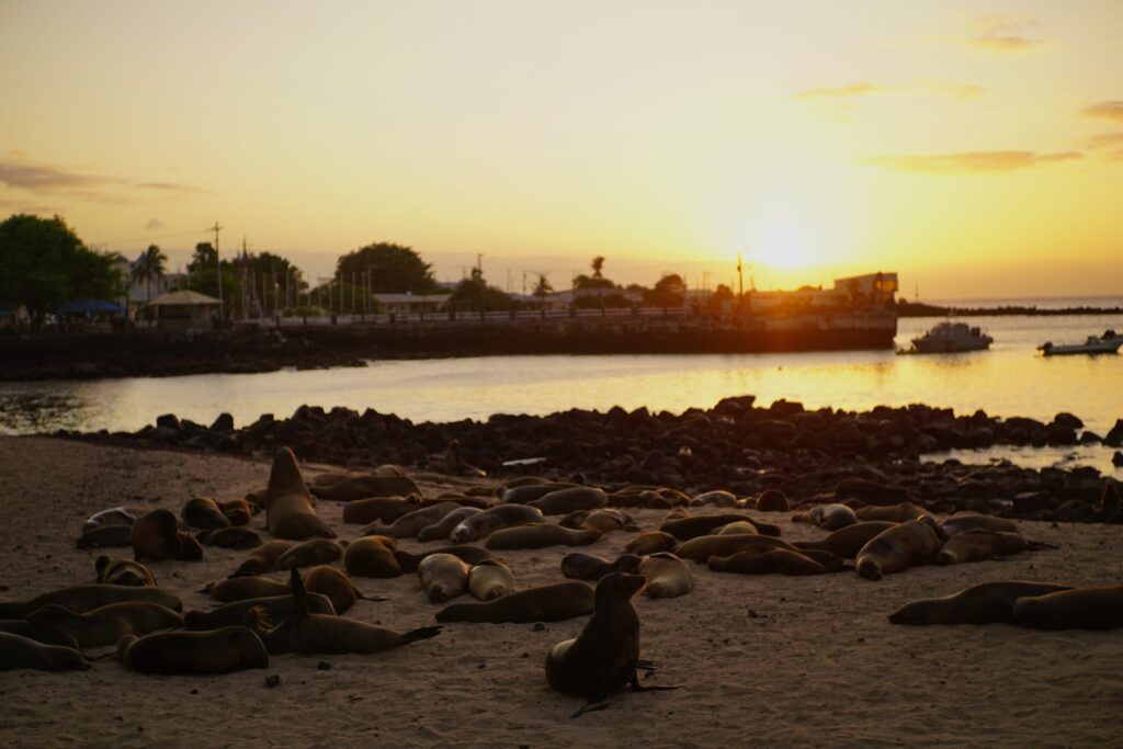 San Cristobal Island, Galapagos