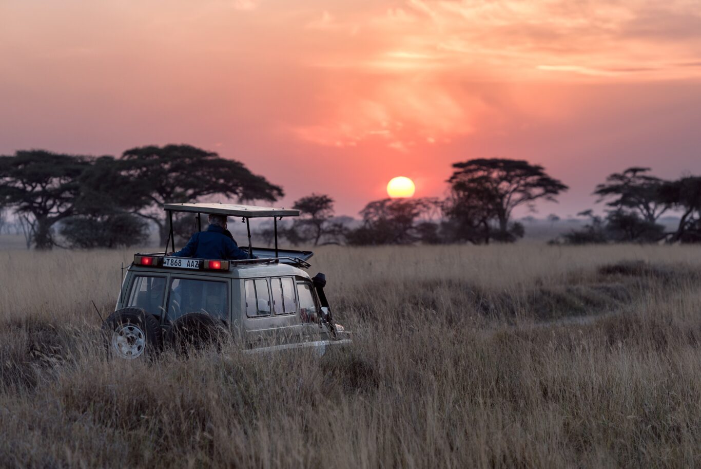 Tansania Safari & Baden