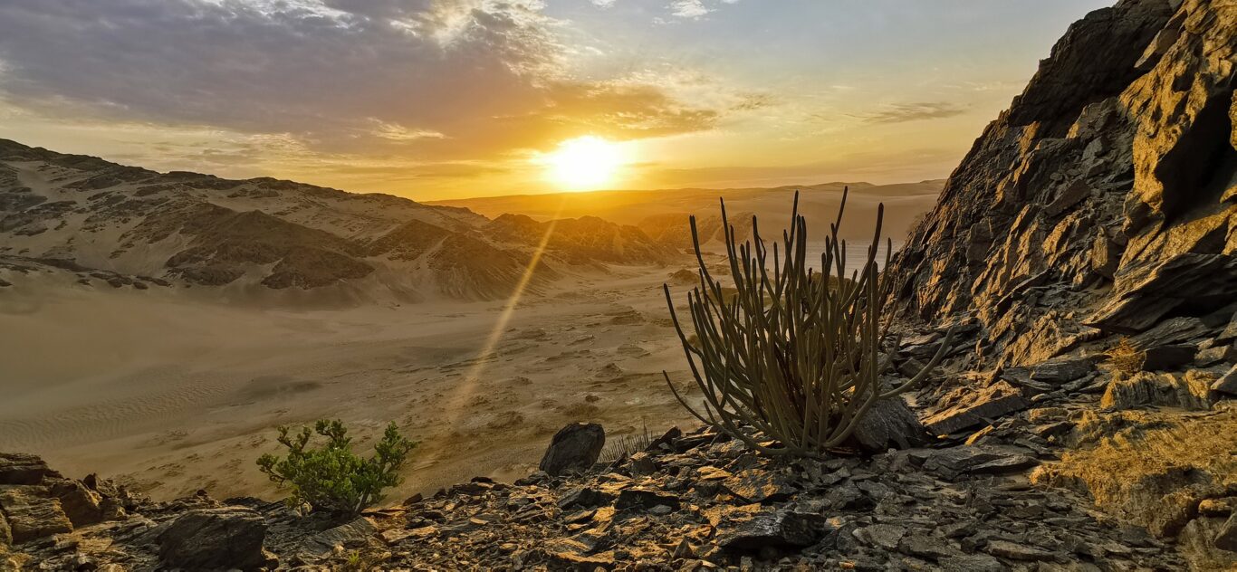 Flugsafari Namibia & Erholung in Südafrika Hintergrundbild