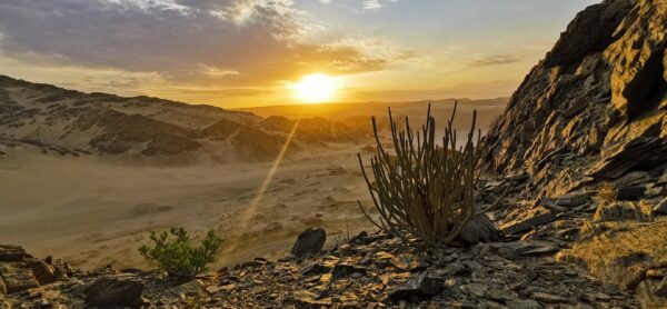 Flugsafari Namibia & Erholung in Südafrika