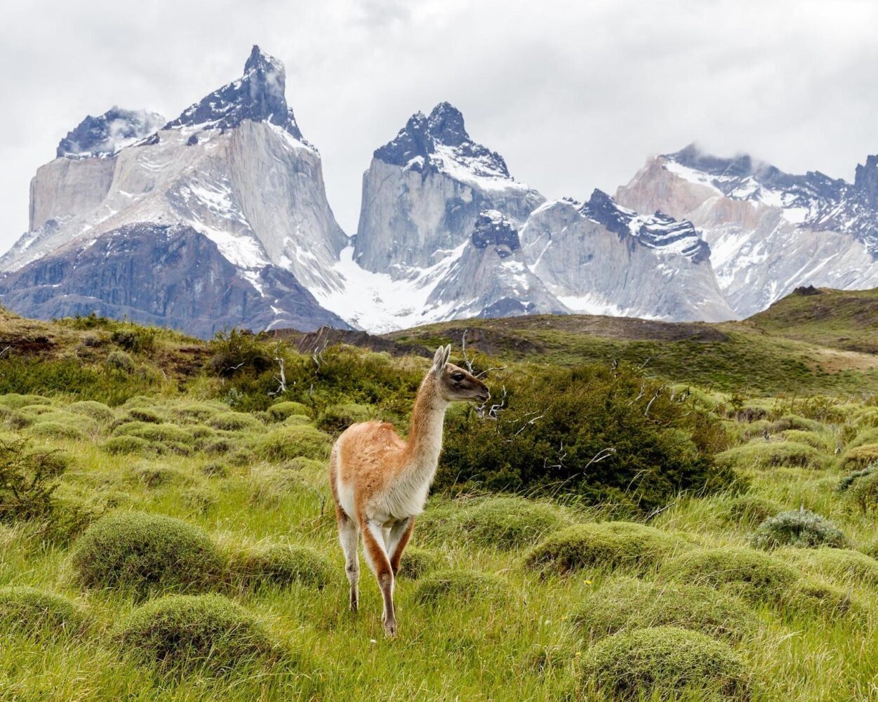 Individuelle Rundreise "Chile - Land der Extreme" (inkl. Fluganreise) Hintergrundbild