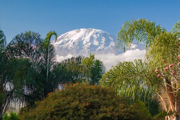 Gruppentour "Kilimanjaro Besteigung" & Dar es Salaam