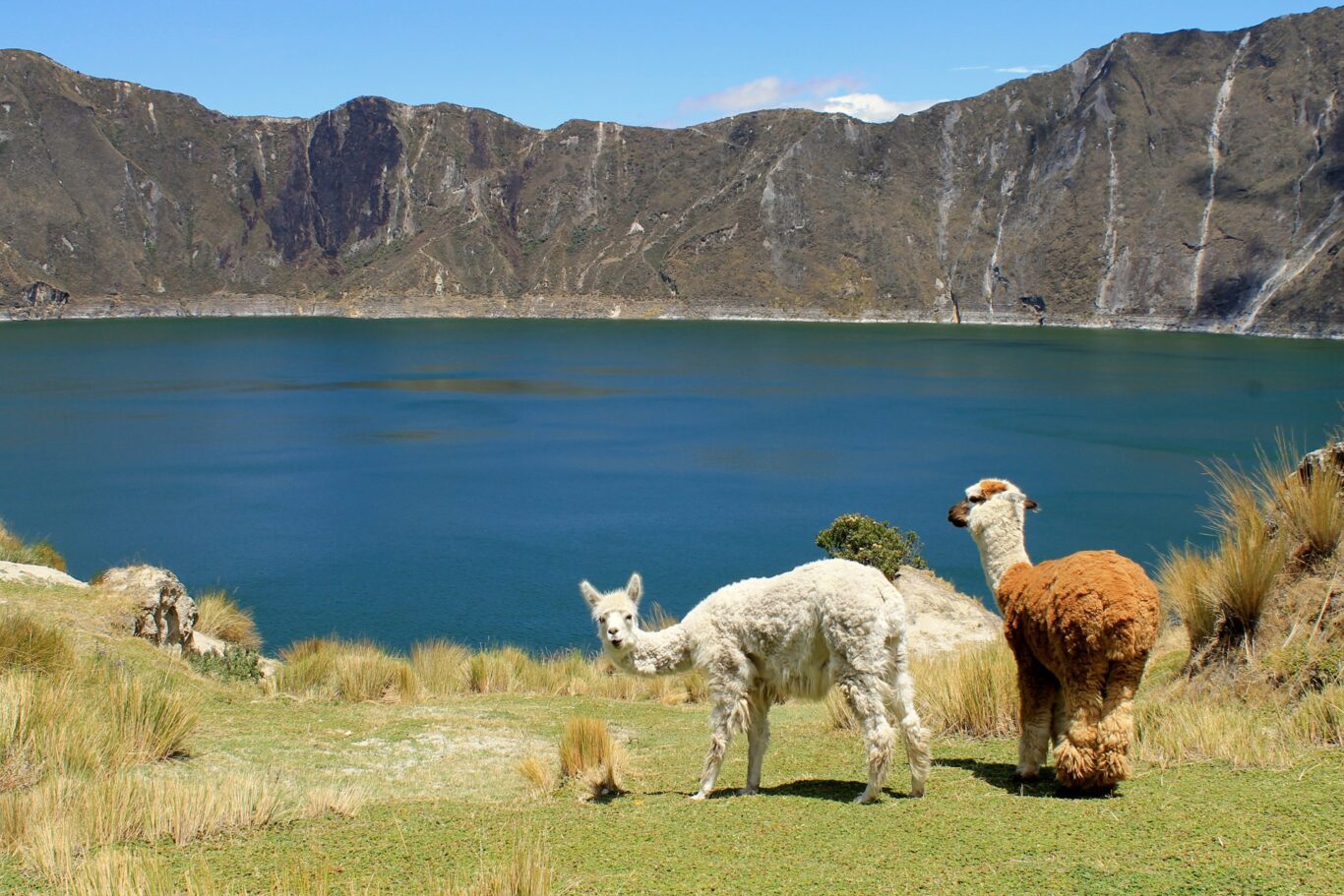 Rundreise "Malerisches Ecuador" & Baden in Kolumbien Hintergrundbild