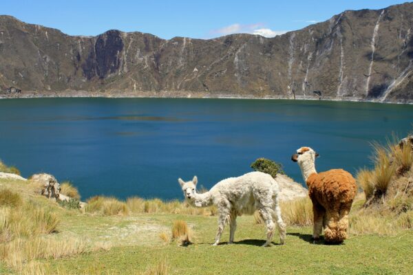 Rundreise "Malerisches Ecuador" & Baden in Kolumbien