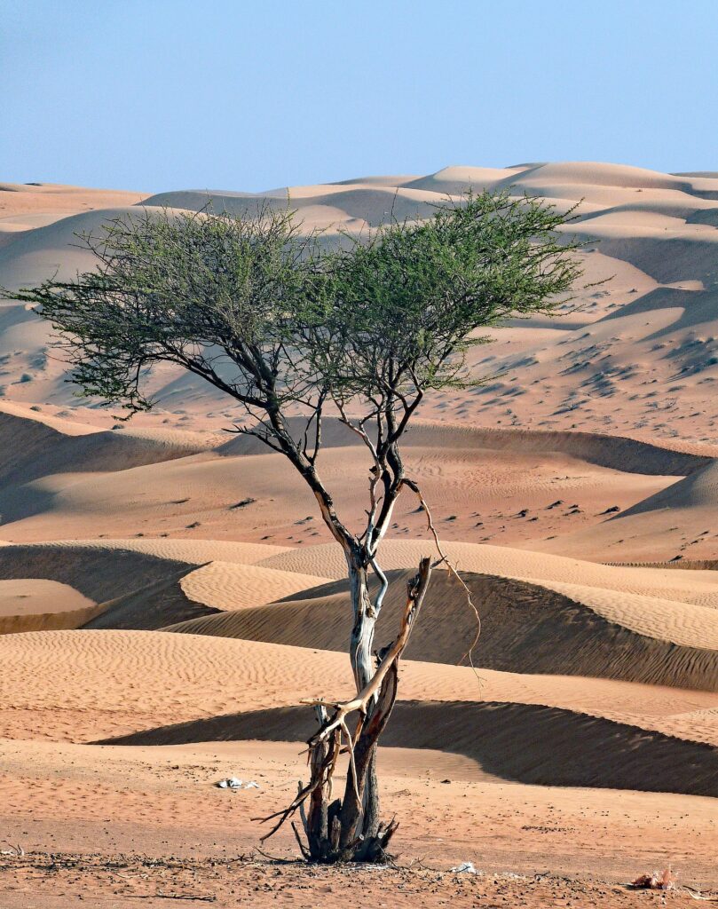 Wahiba Sands, Oman Rundreisen
