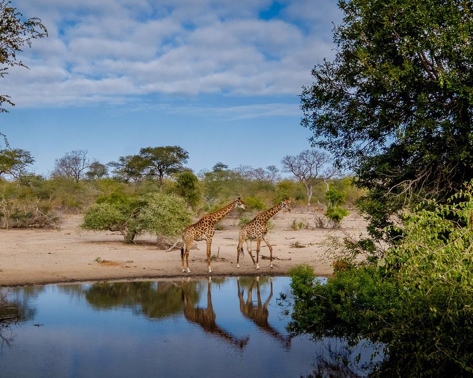 Rundreise "Das Beste von Südafrika" (inkl. Safari) & Baden in Durban Hintergrundbild Rundreise "Das Beste von Südafrika" (inkl. Safari) & Baden in Durban Hintergrundbild
