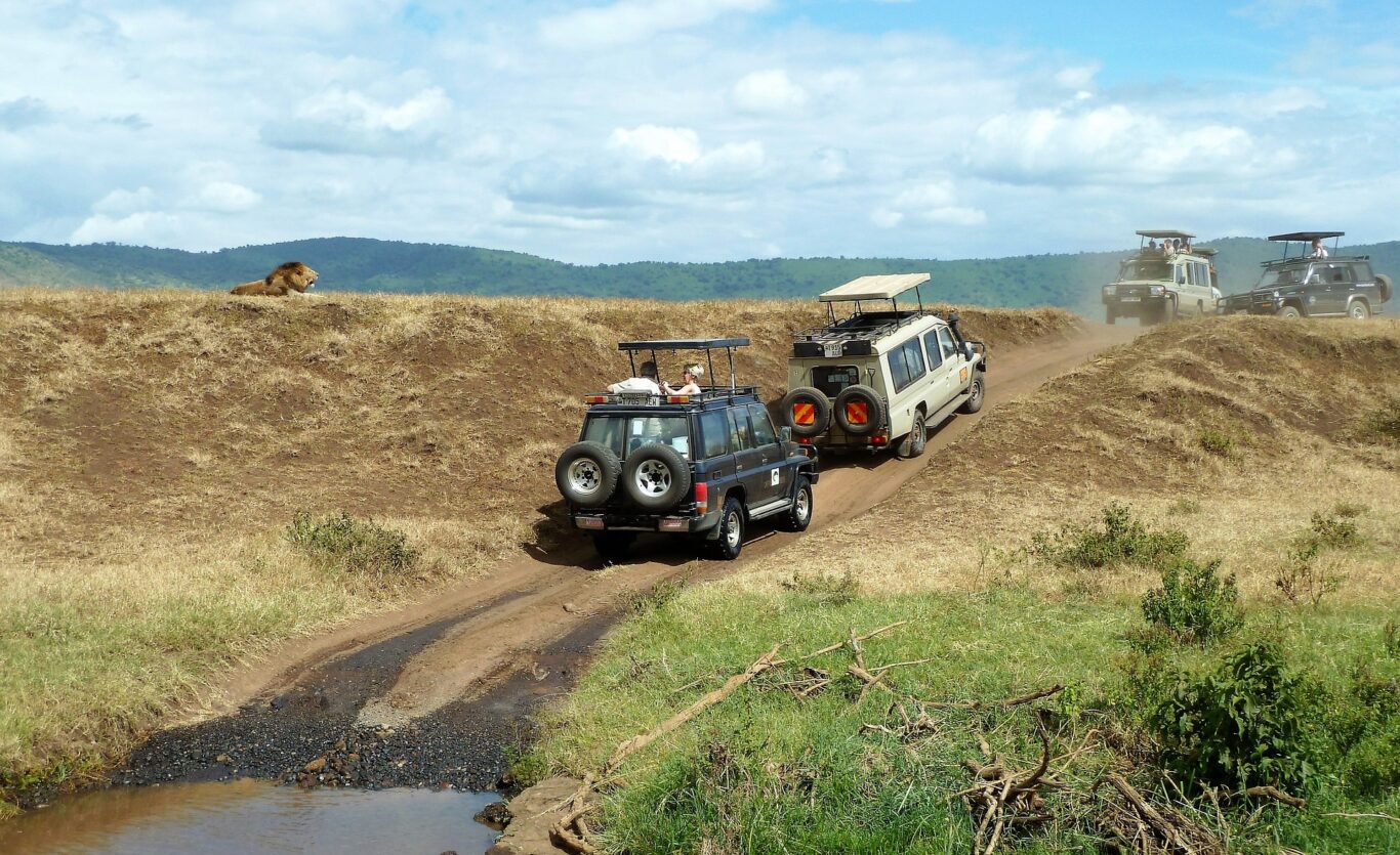 Kilimanjaro Besteigung, 1 Woche Safari & Baden auf Sansibar Hintergrundbild Kilimanjaro Besteigung, 1 Woche Safari & Baden auf Sansibar Hintergrundbild