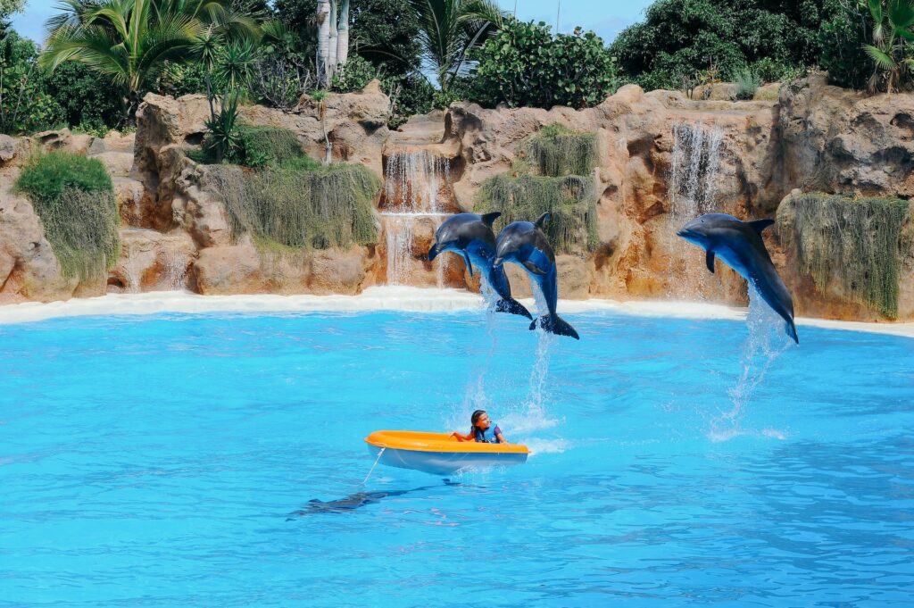 Loro Parque, Teneriffa. Spanien