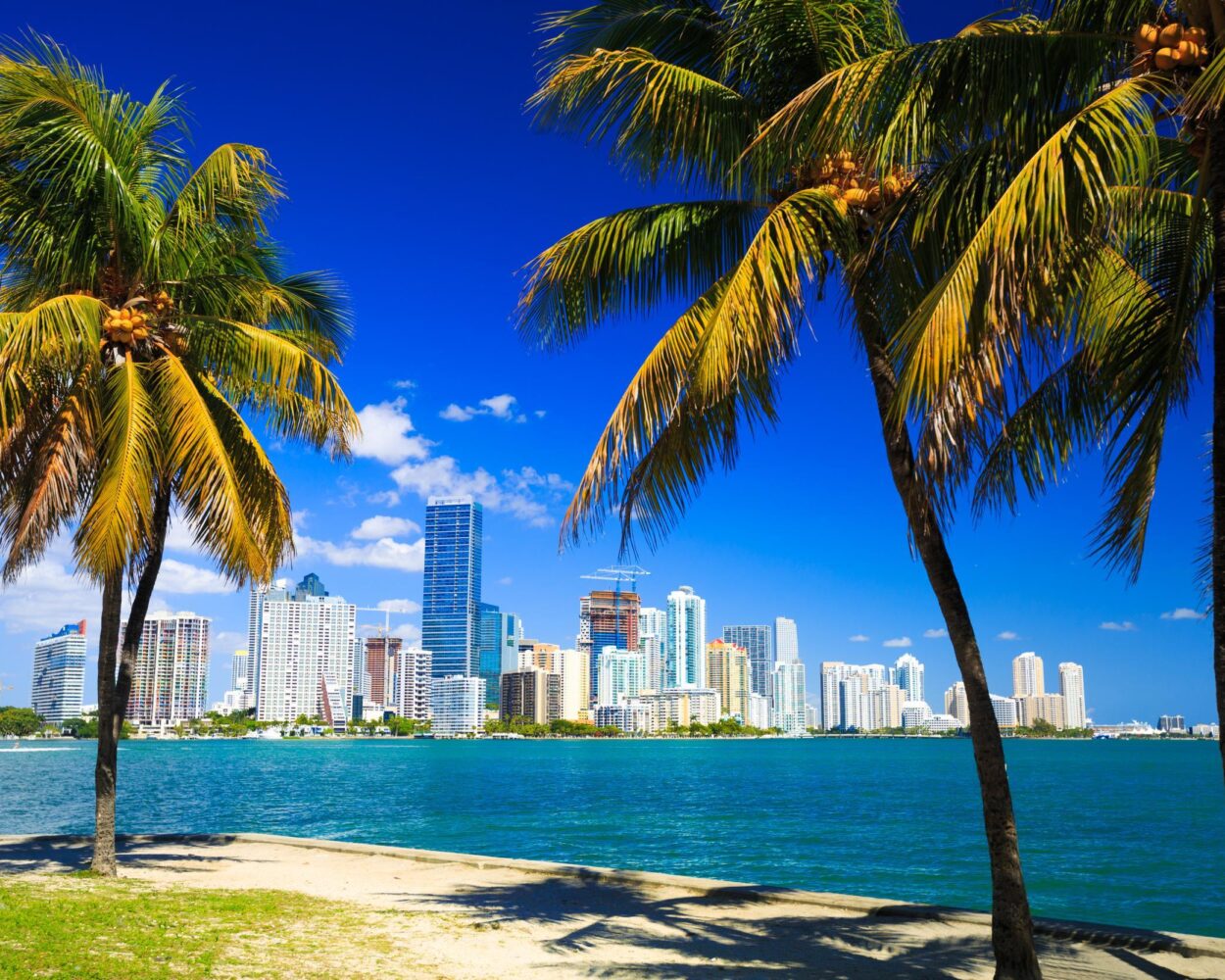 Mietwagenrundreise "Durch den Sunshine State - Florida" Hintergrundbild Mietwagenrundreise "Durch den Sunshine State - Florida" Hintergrundbild