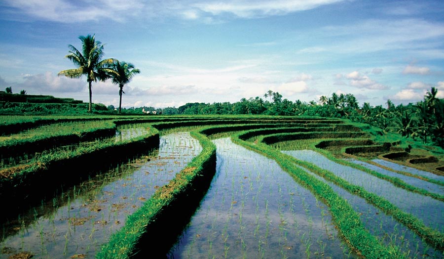 Privatrundreise "Faszinierendes Bali" & Erholung auf Lombok Hintergrundbild Privatrundreise "Faszinierendes Bali" & Erholung auf Lombok Hintergrundbild