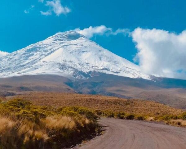 Reiseangebote Cotopaxi