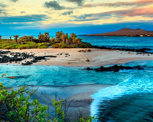 Reiseangebote Galapagos Islands