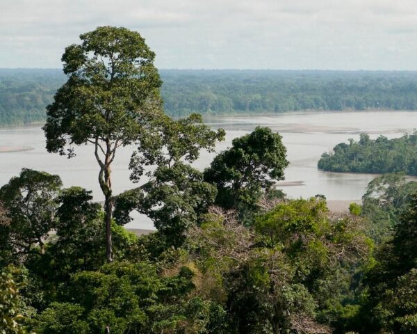 Reiseangebote Napo (Province)