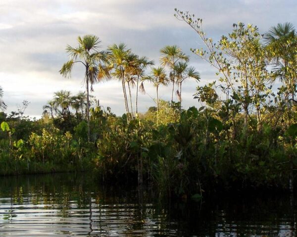 Reiseangebote Yasuni National Park