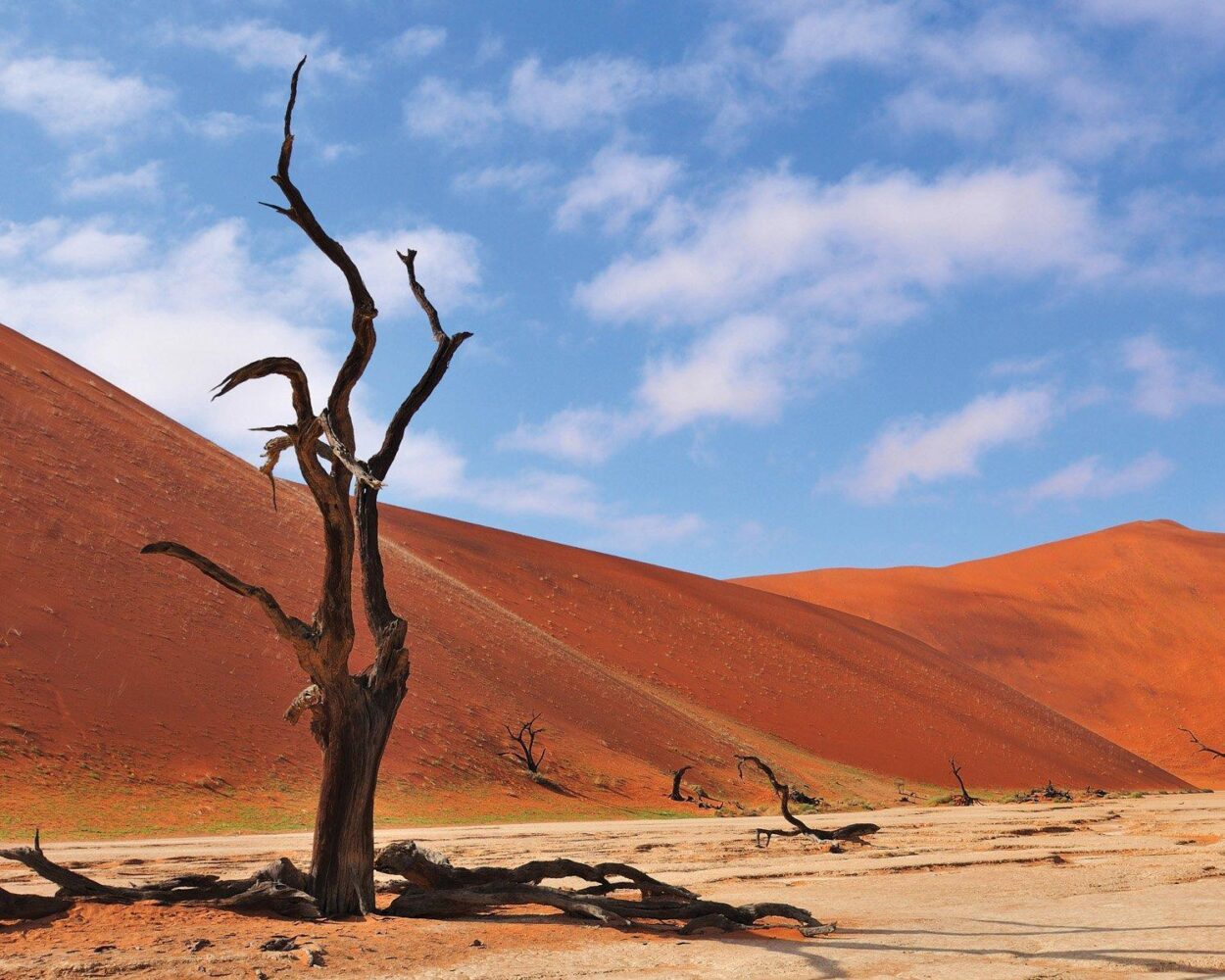 Rundreise "Entdeckungsreise Namibia" & Baden Mauritius Hintergrundbild Rundreise "Entdeckungsreise Namibia" & Baden Mauritius Hintergrundbild