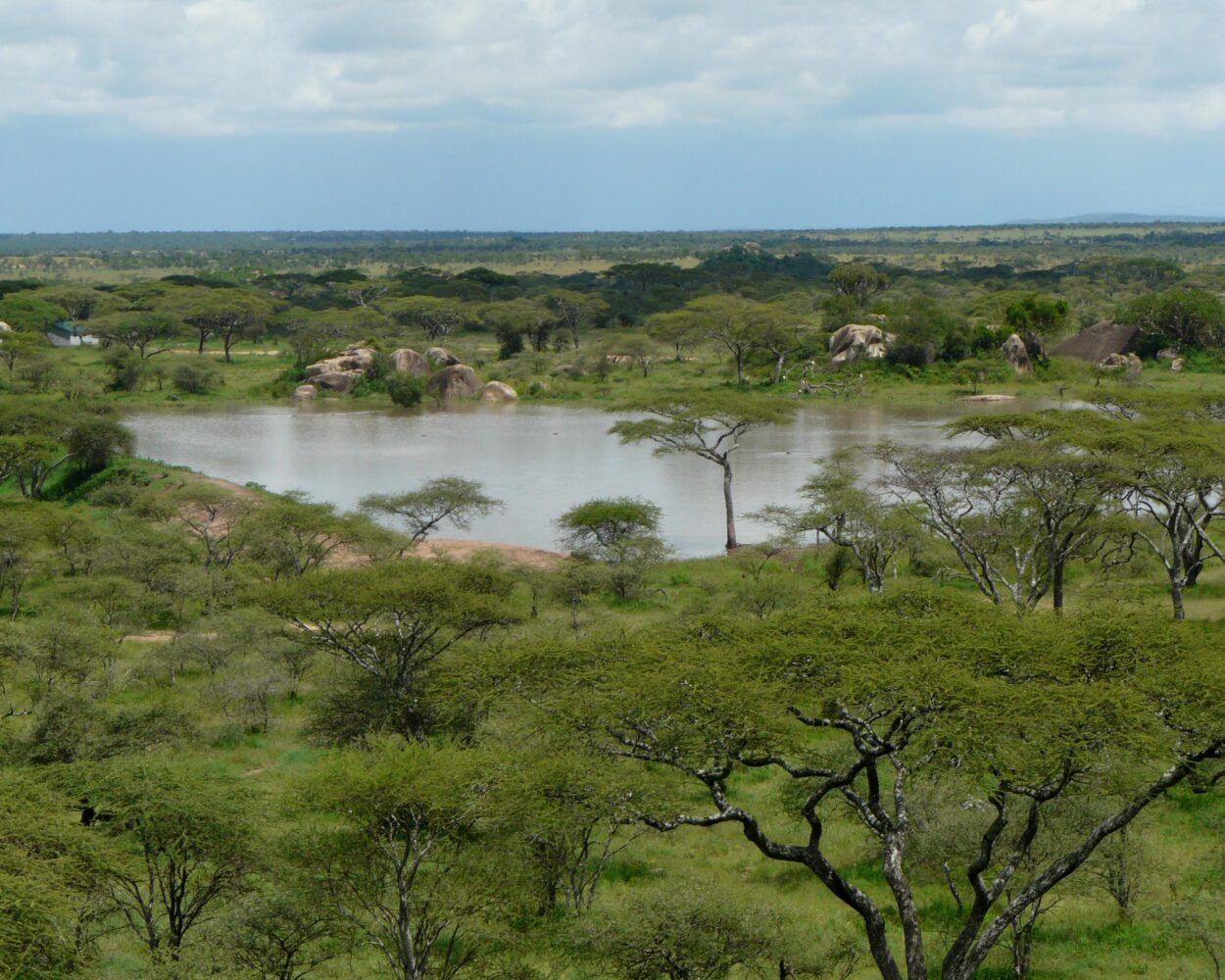 Preiswert durch Tansania! Von der Serengeti bis Sansibar Hintergrundbild