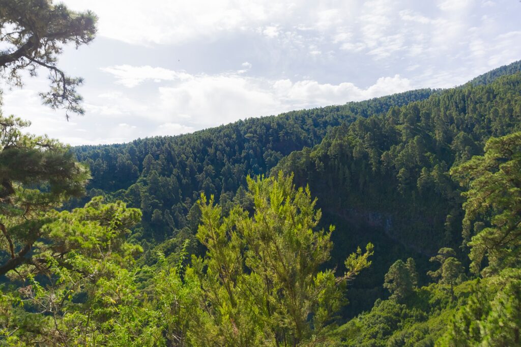 La Palma, Kanarische Inseln, Spanien