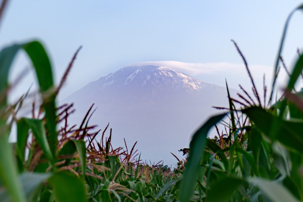 Moshi, Tanzania Moshi, Tanzania