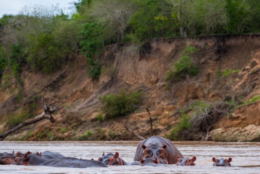 Selous Game Reserve