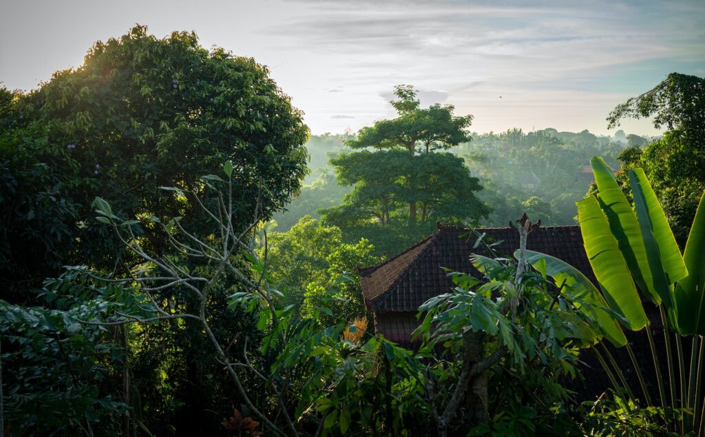 Ubud, Bali