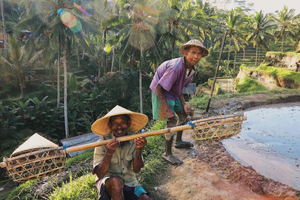 Ubud (Bali), Indonesien Rundreisen