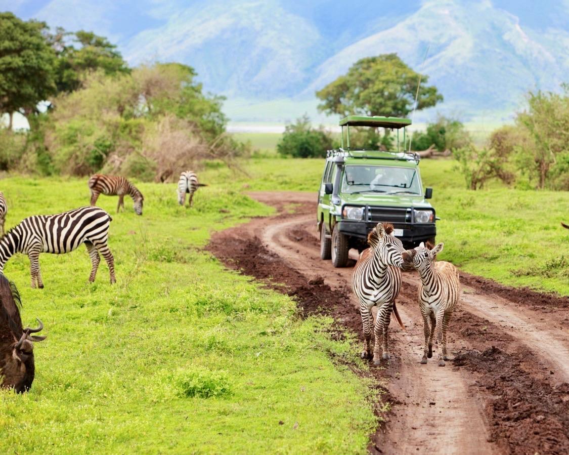 Baden auf Sansibar & Serengeti Safari mit Nationalparks Hintergrundbild